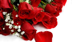 Rose happy birthday flowers wishes. Flowers Cards Free Flowers Wishes Greeting Cards 123 Greetings