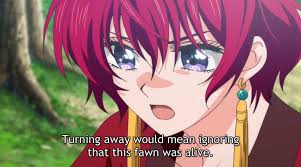 Yona Of The Dawn, Vol. 38 (38): Kusanagi, Mizuho: 9781974736782:  Amazon.Com: Books
