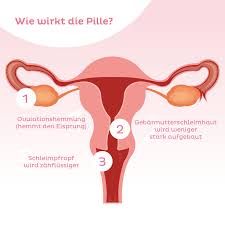 Dies findet der frauenarzt in einem ganz harmlosen gespräch heraus. Antibabypille Wirkung Sicherheit Nebenwirkungen Netdoktor At