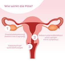 Thrombosen können in allen gefäßen auftreten. Antibabypille Wirkung Sicherheit Nebenwirkungen Netdoktor At