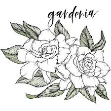 Pin Auf Ink