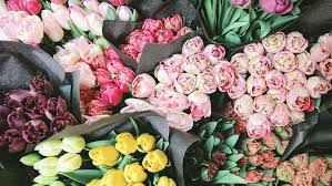 Best quality flowers order & send flowers, bouquets for same day delivery by the local florist netherlands. Verdnatura Holland Bv Wholesale Florist In Aalsmeer