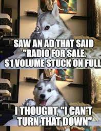 Pin By No Thanks On Pun Husky Funny Animal Jokes Funny Dog Jokes Funny Dog Memes