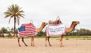 So, whats a camel toe? Marc Jacobs On Twitter Say No To Camel Toe Http T Co Dhusq1p4z6 Http T Co 28gqm7vjed