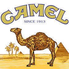 It doesn't use turkish tobacco or anything but it's a very clean i have to disagree. Camel Turkish Royal Kings Soft Pack 20 Ct 10 Pk Sam S Club