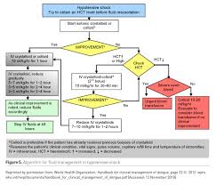 Symptoms are similar to flu symptoms, and there is no treatment. How To Manage Severe Dengue Infection Healthmanagement Org