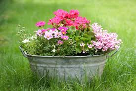 Ab wann balkonpflanzen ins freie dürfen und wie sie balkonkästen richtig bepflanzen ob sie klar ist dass die frostempfindlichen balkonpflanzen nicht zu früh raus auf den balkon gestellt werden dürfen. Blumen Nach Jahreszeiten Pflanzen Selbermachen De