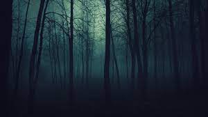 110 Wallpapers Escuros Perfeitos Pra Voce Que Tem Visao Sensivel Dark Wood Background Forest Wallpaper Dark Forest
