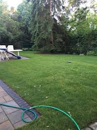 Get your soil tested, level things out & add organics as often as possible, that's the best start you can give it. How To Level A Bumpy Lawn Diy Lawn Expert