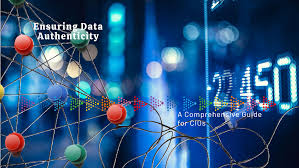 Ensuring Data Authenticity: A Comprehensive Guide for CIOs