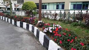 Kawasan wisata cameron highland merupakan sebuah pusat peristirahatan dan pelancongan di dataran tinggi yang terkenal di semenanjung malaysia. Jalan Ke Lobby Picture Of Copthorne Hotel Cameron Highlands Brinchang Tripadvisor