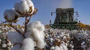 新疆棉花这件事堪比 nba，各位为什么不去加速？ 新疆棉花这件事堪比 nba，各位为什么不去加速？ 在国内看到好多帖子了，比如： Wi56rpjhnijn5m