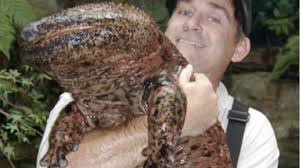 Humans are eating Earth's largest animals to the point of extinction, OSU  study finds