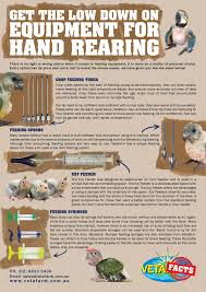 A Helpful Guide To Equipment For Hand Rearing Watch The
