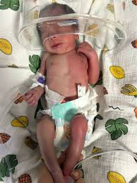 Image result for Harlequin Color Change