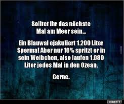 Solltet Ihr Das Nächste Mal Am Meer Sein Lustige Bilder