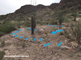 Copy rra plugins scripts resource folders to new cacti. Rainwater Harvesting For Drylands And Beyond By Brad Lancaster Drops In A Bucket Blog