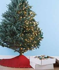 Hanging Tree Lights Vertically Makes It Easier Who Knew Christmas Tree Lighting Christmas Decorations Christmas Lights