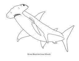 Free coloring sheets to print and download. Great Hammerhead Shark Coloring Page By Mama Draw It Tpt