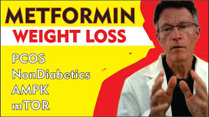 Pin On H Metformin