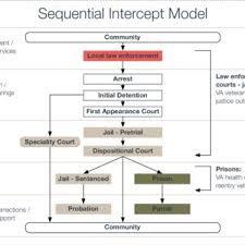 Flow Chart Showing The Process For A Veteran From Point Of