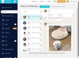 Cómo Encontrar Grupos de WhatsApp Gay y Conocer Amigo Gay