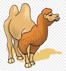 The fur or coat on a camel can reflect the sun and insulate the animal from the wide feet with two toes and hoof on the front. Free Camel Clipart Two Hump Camel Clipart Free Transparent Png Clipart Images Download