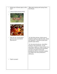 Ecology Lesson Plan Ecology Lessons Ecology Lesson Plans Science Lesson Plans Elementary