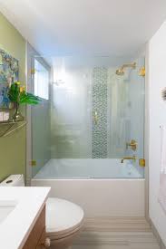 Tile shower wall with aqua accents and tan tiled flooring and adjacent walls. 75 Beautiful Glass Tile Shower Pictures Ideas Houzz