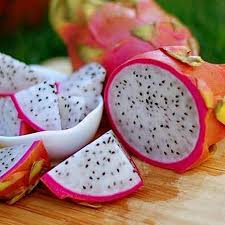 Simply trim the end and plop it in soil. Dragon Fruit Cactuses Fastgrowingtrees Com