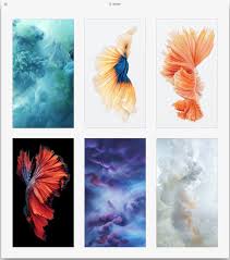 Download these free iphone wallpapers to give your phone a new look and to help you stay focused. Get The Beautiful Live Wallpapers From Iphone 6s As Still Wallpapers Osxdaily