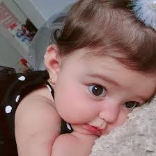 Diane Probert's Instagram, Twitter & Facebook