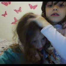 Posts with replies by אמה (@emmapolachek)