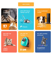Are you looking to pamper your cat with toys and treats? Petcube Care On The Go Pet Monitoring System And Home Security