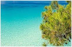 Η φούρκα και η παραλία φούρκας είναι από τους πιο γνωστούς τουριστικούς προορισμούς της κασσάνδρας. Ta3i Apo Aerodromio 8essalonikhs Pros Foyrka Xalkidikhs Alpha Thessaloniki Transfers