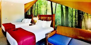 We're north america's largest family of indoor water park resorts. Suites Great Wolf Lodge Colorado Springs Co