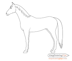 We did not find results for: How To Draw A Horse From The Side View Tutorial Easydrawingtips