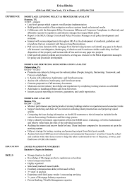 They are usually described in terms of overall business strategy, or can otherwise be focused on specific functions, such as product management. Mortgage Analyst Resume Samples Velvet Jobs