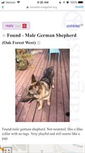 Adopt german shepherd dogs in texas. Found Male Greater Houston Lost And Found Dogs And Cats Facebook