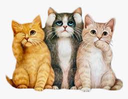 Download kitten images and photos. Cute Kittens Animated Hd Png Download Kindpng
