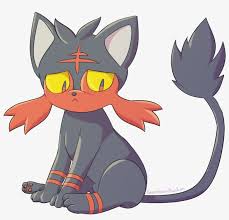 Un libro è un insieme di fogli, stampati oppure manoscritti, delle stesse dimensioni, rilegati insieme in un certo ordine e racchiusi da una copertina. Sad Litten Pokemon Litten Sad 1072x1002 Png Download Pngkit