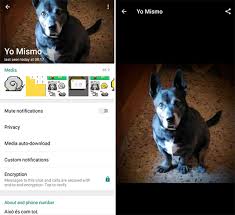 How to use gbstickers packs with gbwhatsapp. Gb Whatsapp Pro Apk V13 50 Download Latest Version 2021