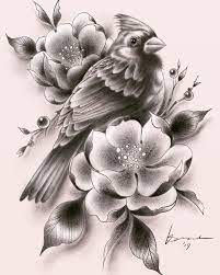 Cardinal And Magnolia Flowers Drawing Bird And Flower Tattoo Pencil Drawings Of Flowers Bird Drawings