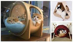 Es decir que no necesitan juguetes o la utilización de tecnología. Casetas Juegos Y Muebles Para Gatos Construccion Y Manualidades Hazlo Tu Mismo