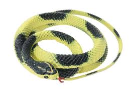 We did not find results for: Five Pain Free Ways To Manage The Monkey Menace North Coast Courier