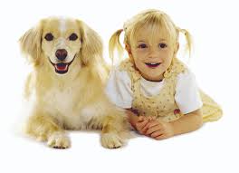 Maybe you would like to learn more about one of these? Tips To Choose The Best Pet For Your Kid