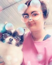 Spot where Missy my chihuahua is 😂😂