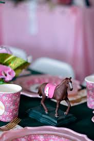 99 ($4.33/count) get it as soon as thu, jul 8. Horsing Around The Perfect Horse Themed Birthday Party Project Nursery