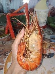 Udang galah merupakan jenis udang yang termasuk dalam spesies macrobrachium rosenbergii. Udang Galah Goreng Dan Gulai Ikan Pedas Kuliner Khas Siak Yang Menggugah Selera Halaman All Kompasiana Com