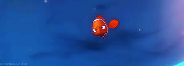 Maybe you would like to learn more about one of these? Nemo Touched The Boat Gifs Tenor